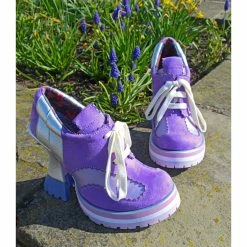 IRREGULAR CHOICE Winner Takes It All 22 IRREGULAR CHOICE Winner Takes It All -IRREGULAR CHOICE Shop 4677 01C Winner takes it all1 7fe91029 0c7b 4942 8014 bf712d531735 1